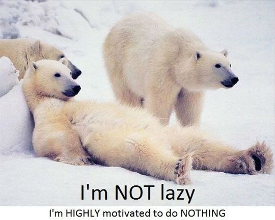 I Am Not Lazy Funny Polar Bear Meme Image ছোটদের Agile ও Scrum : মুরুব্বিদের জন্য নিষিদ্ধ