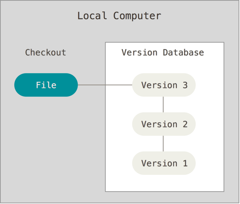 local version control About Version Control